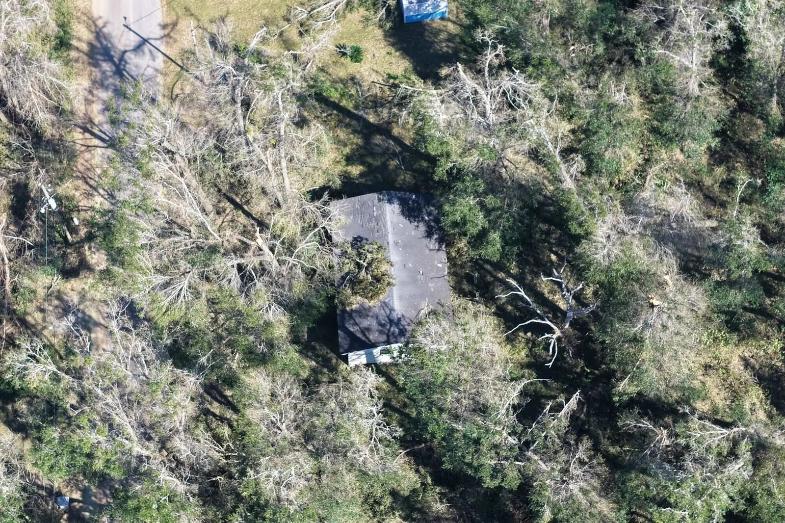 Aerial overhead of a home among fallen trees